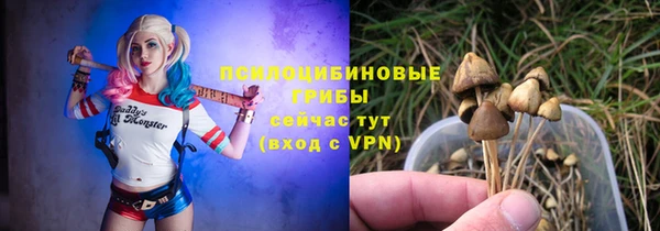2c-b Заводоуковск