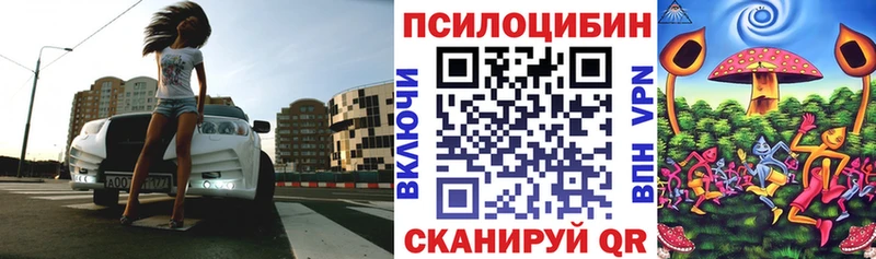 Купить  Талдом  Галлюциногенные грибы MAGIC MUSHROOMS 